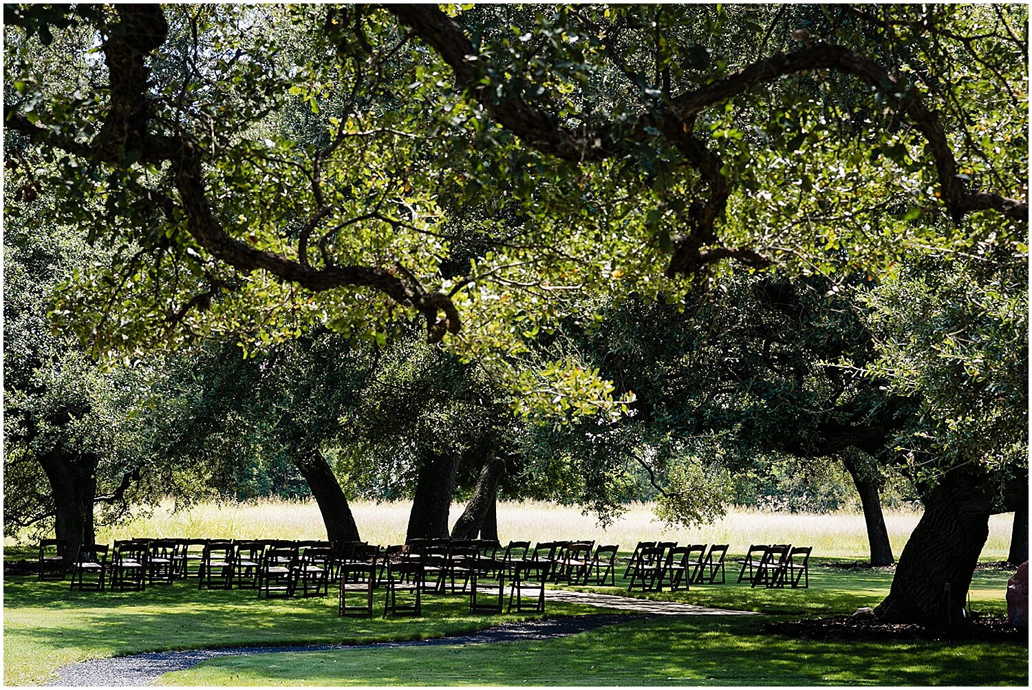 Austin Wedding Planner - Vineyards at Chappel Lodge Wedding_3392.jpg