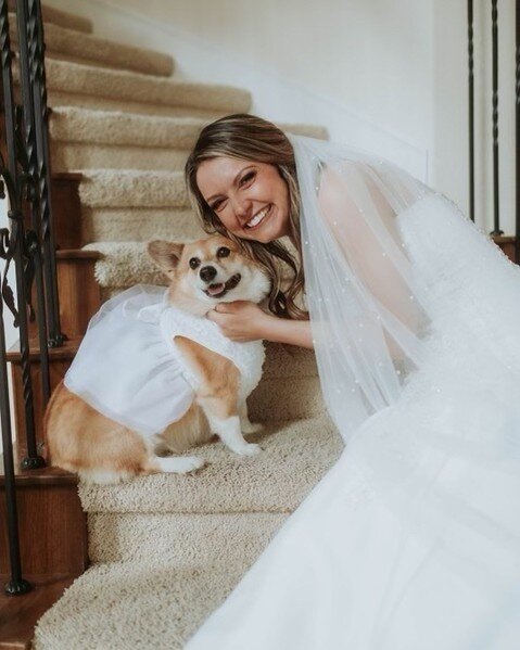 Dogs might be know as &quot;Man's Best Friend&quot; but we think they should be called &quot;Bride's Best Bridesmaid&quot;. ​​​​​​​​​.
photos @sarhjkphoto
dress @allurebridals from @signaturebridalsalon
beauty @bonitabrides
👰🏻&zwj;♀️ @ameliafamular