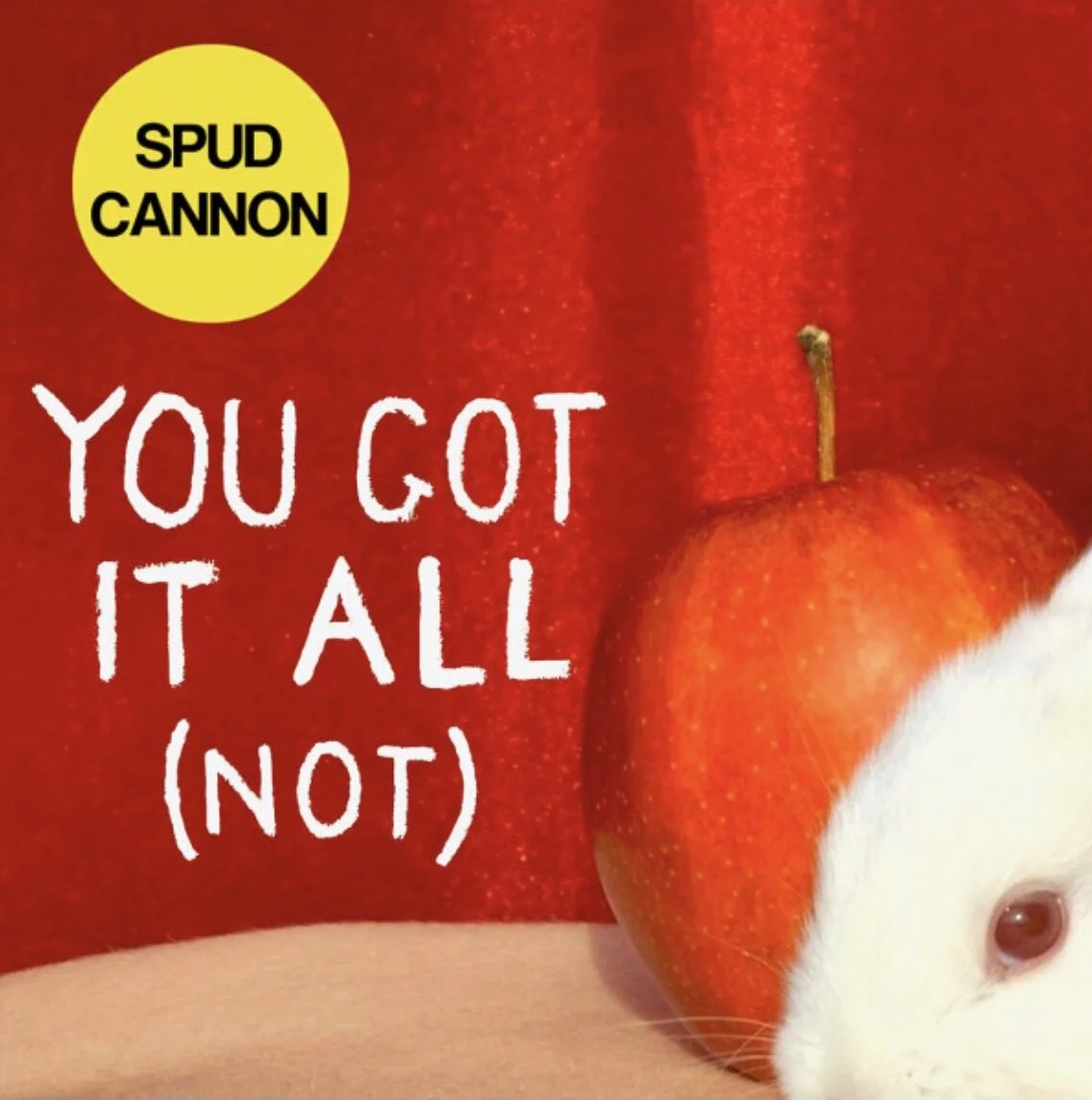 Spud Cannon - “You Got It All (NOT)”