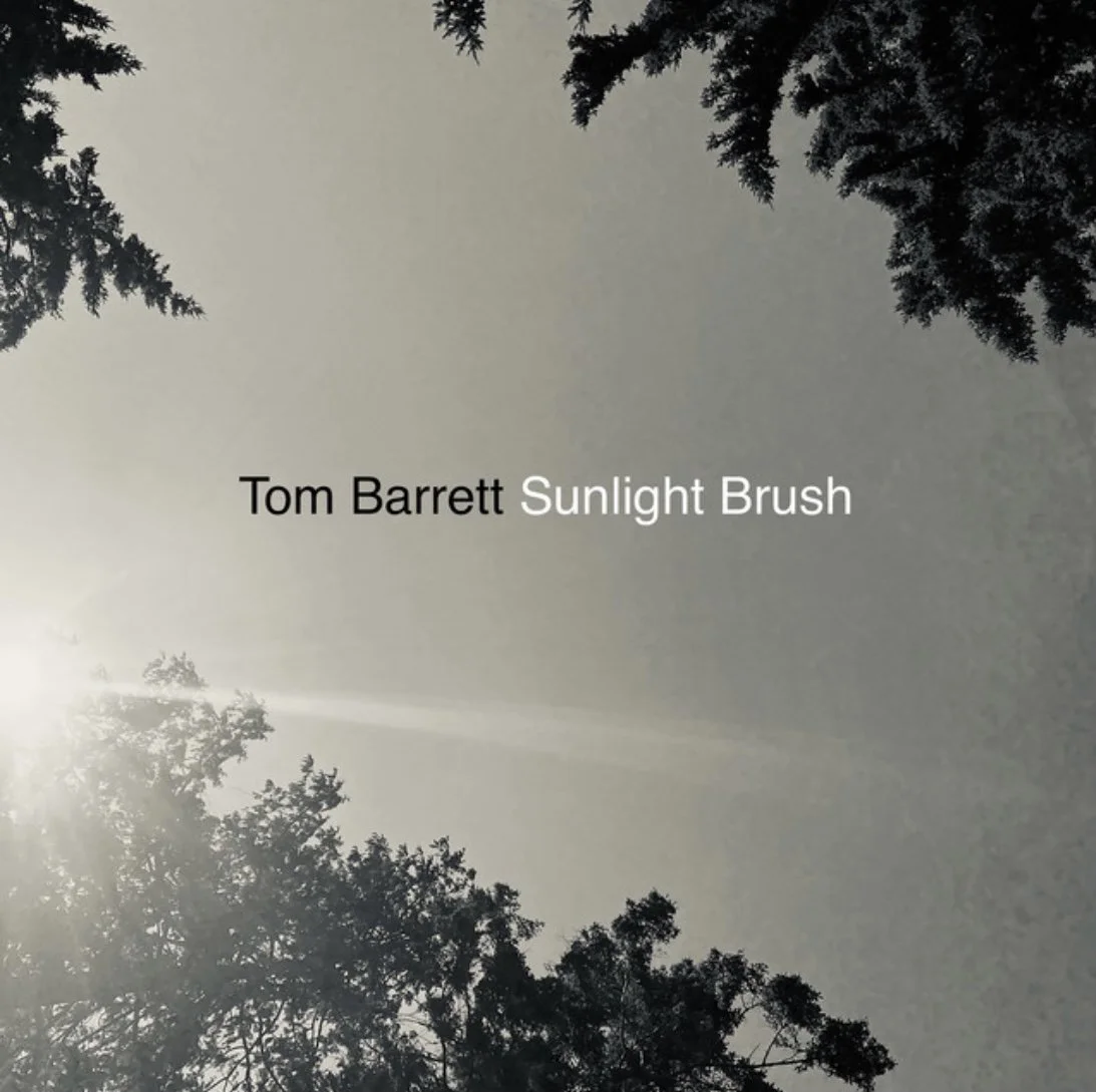 Tom Barrett - “Sunlight Brush”