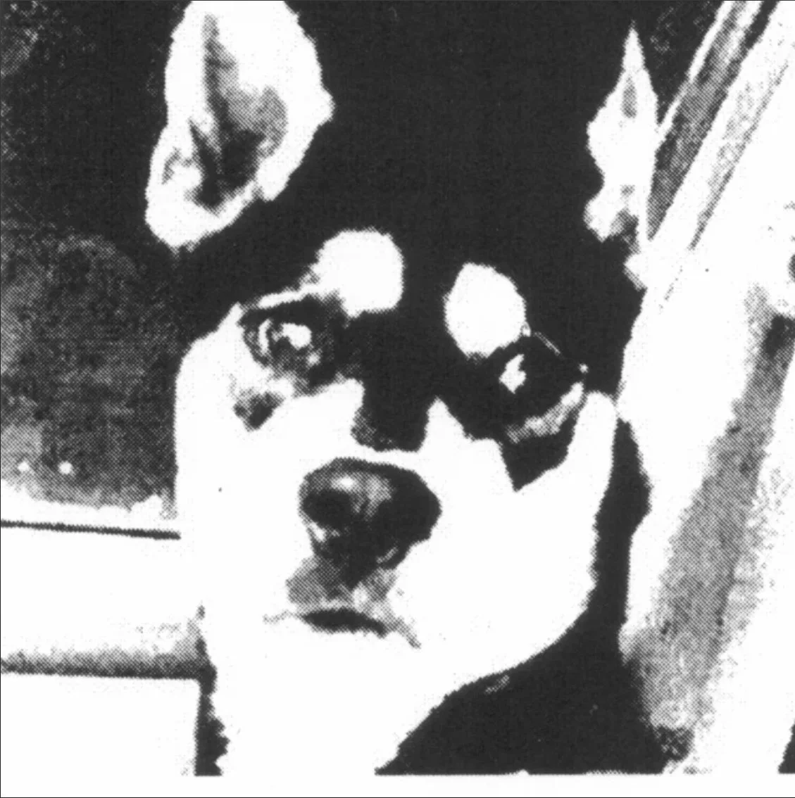 Thus Love - “Family Man”