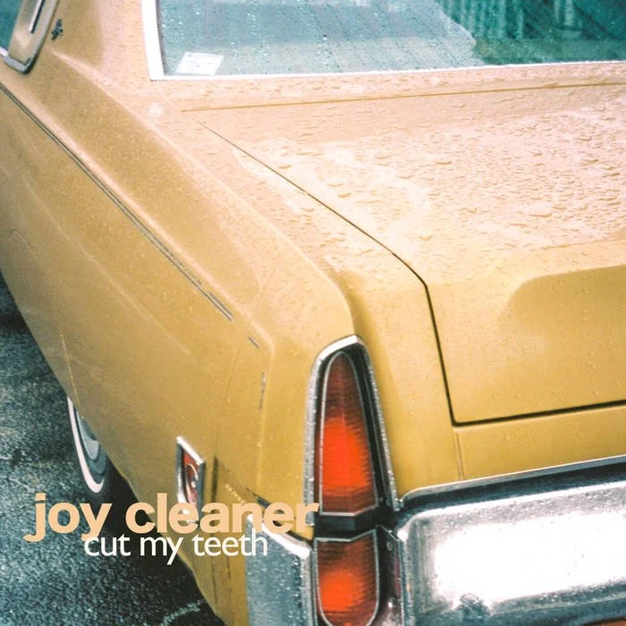 Joy Cleaner - “Cut My Teeth”