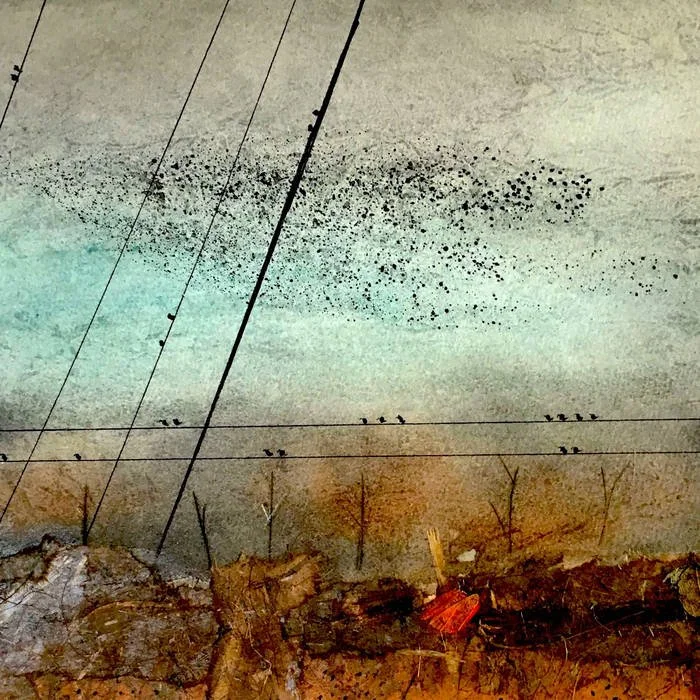 Anjali Rose - “Seis Semanas”