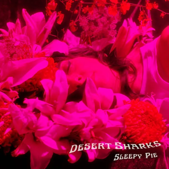 Desert Sharks - “Sleepy Pie”