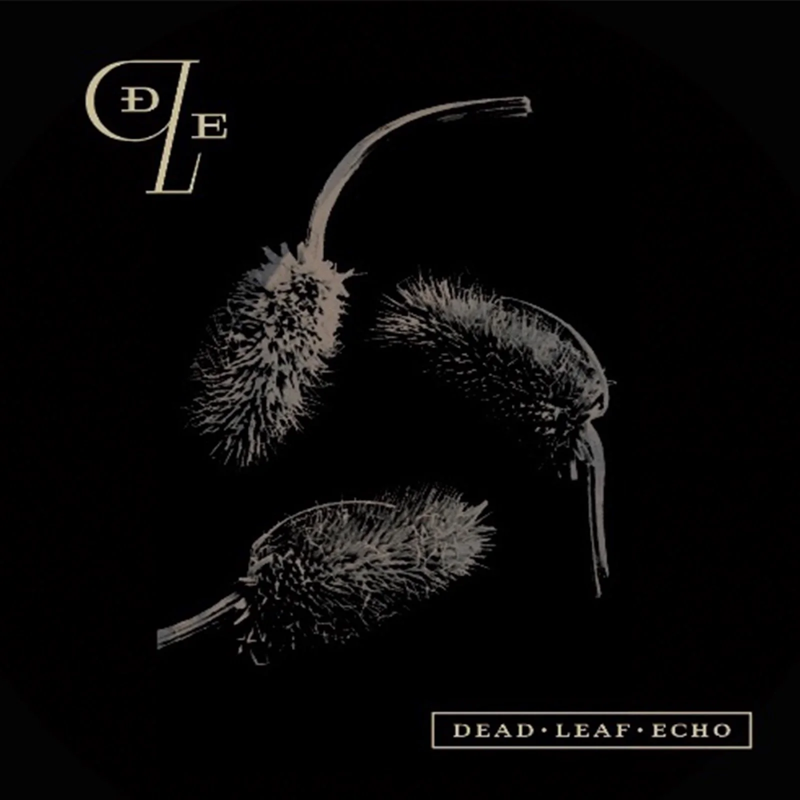 Dead Leaf Echo - “Shadowlight”