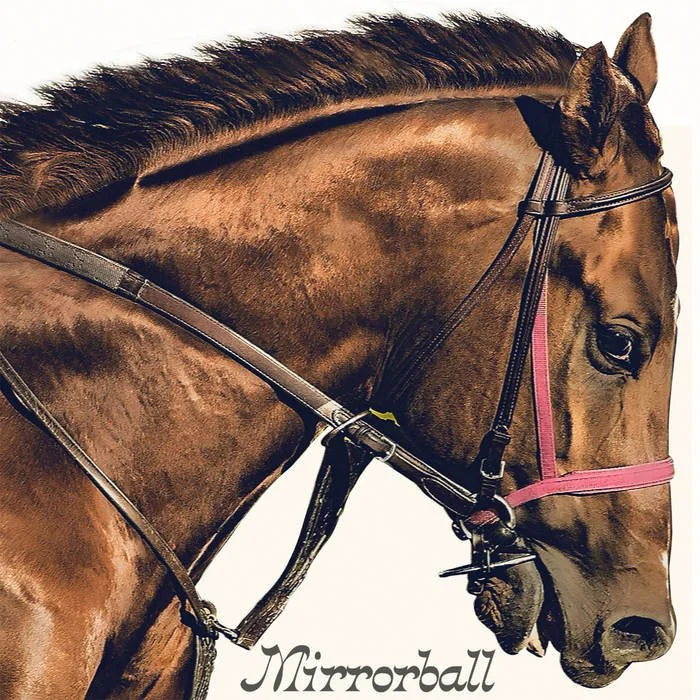 Mirrorball - “Take A Shot”