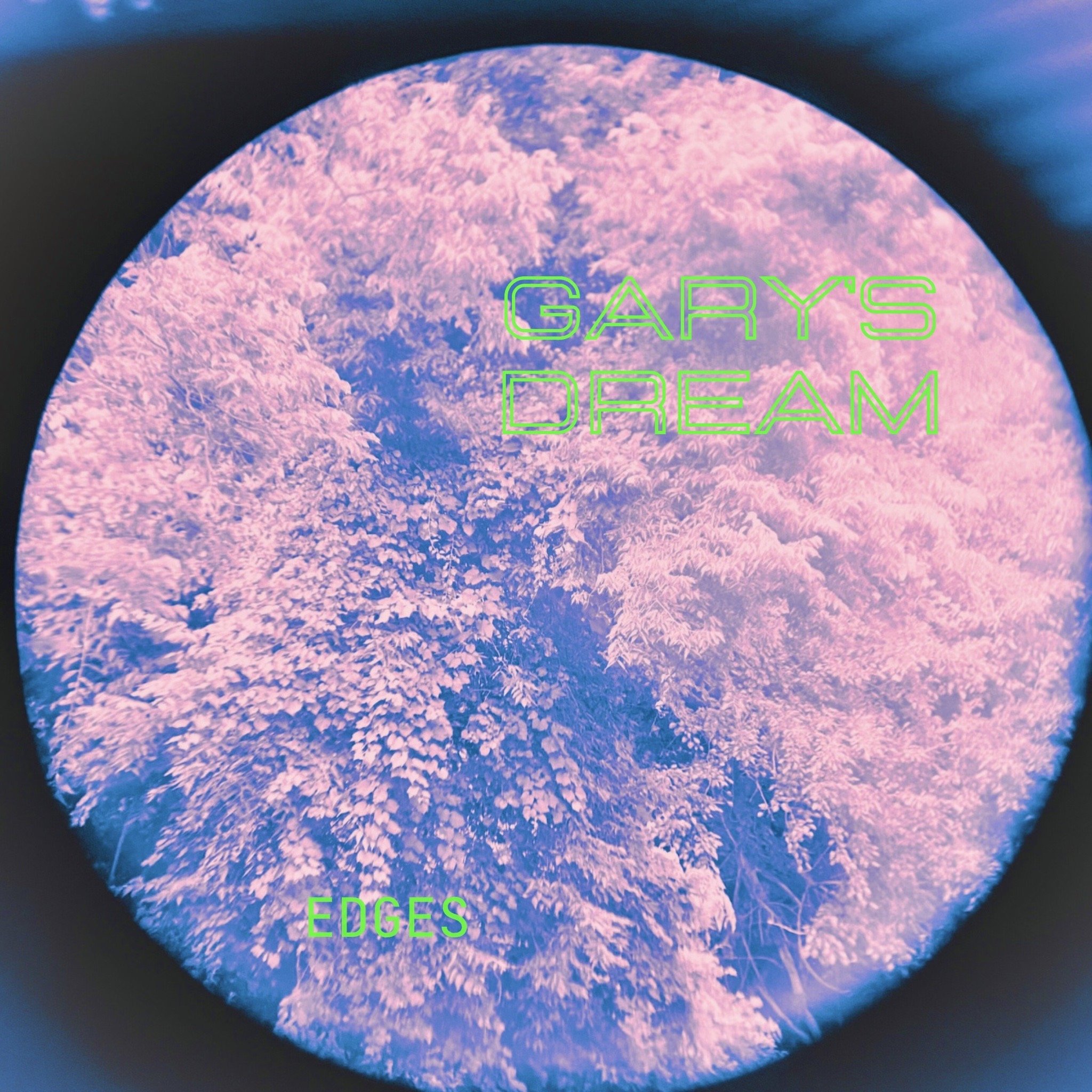 Gary’s Dream - “Edges”