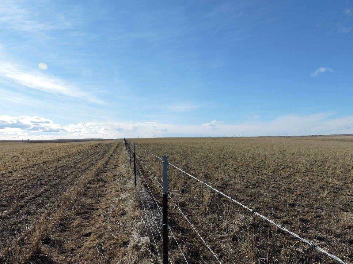 Barbed Wire3.jpg