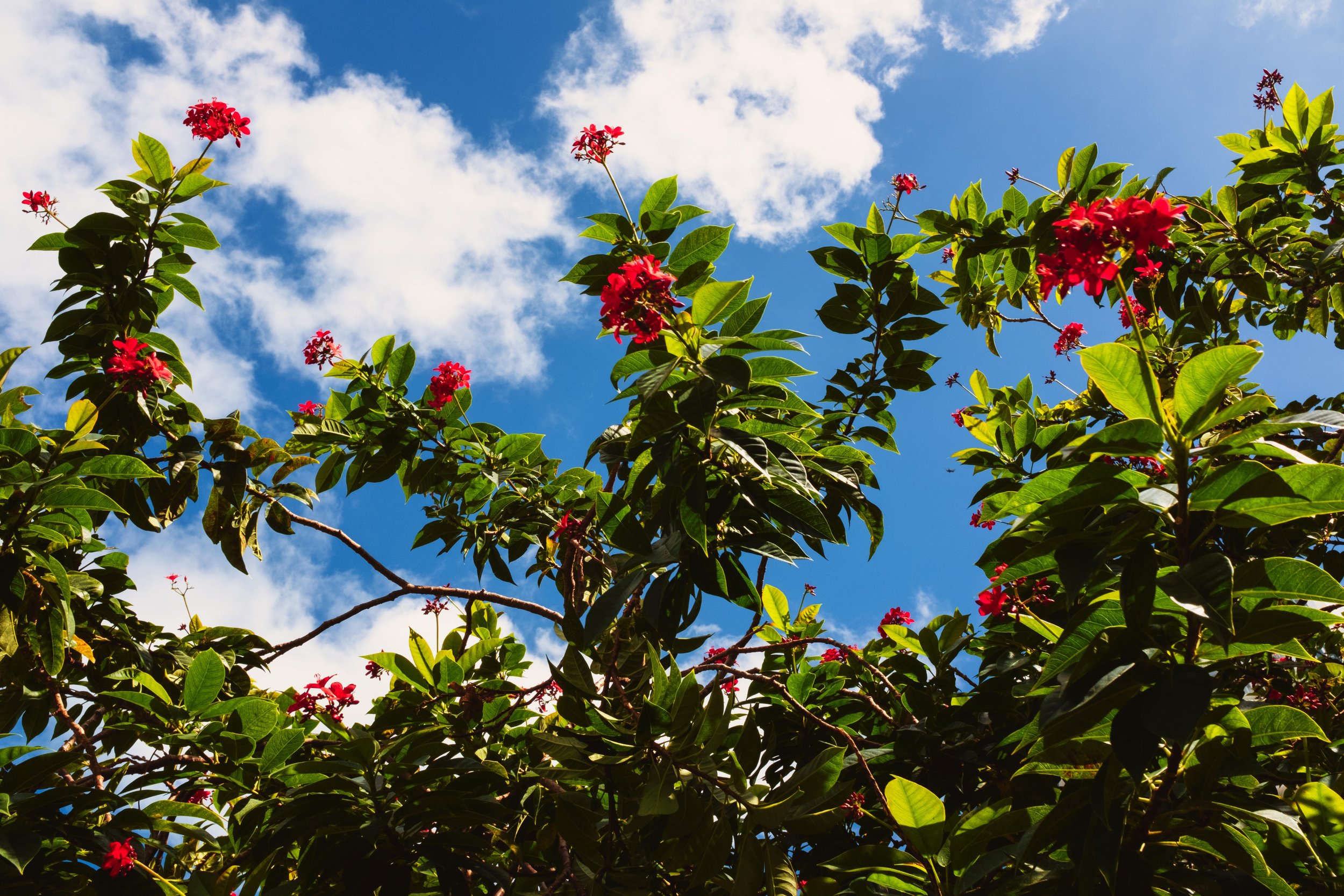 Untitled design(6)small.jpg