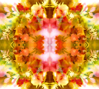 Its About the Rose Square Scarf