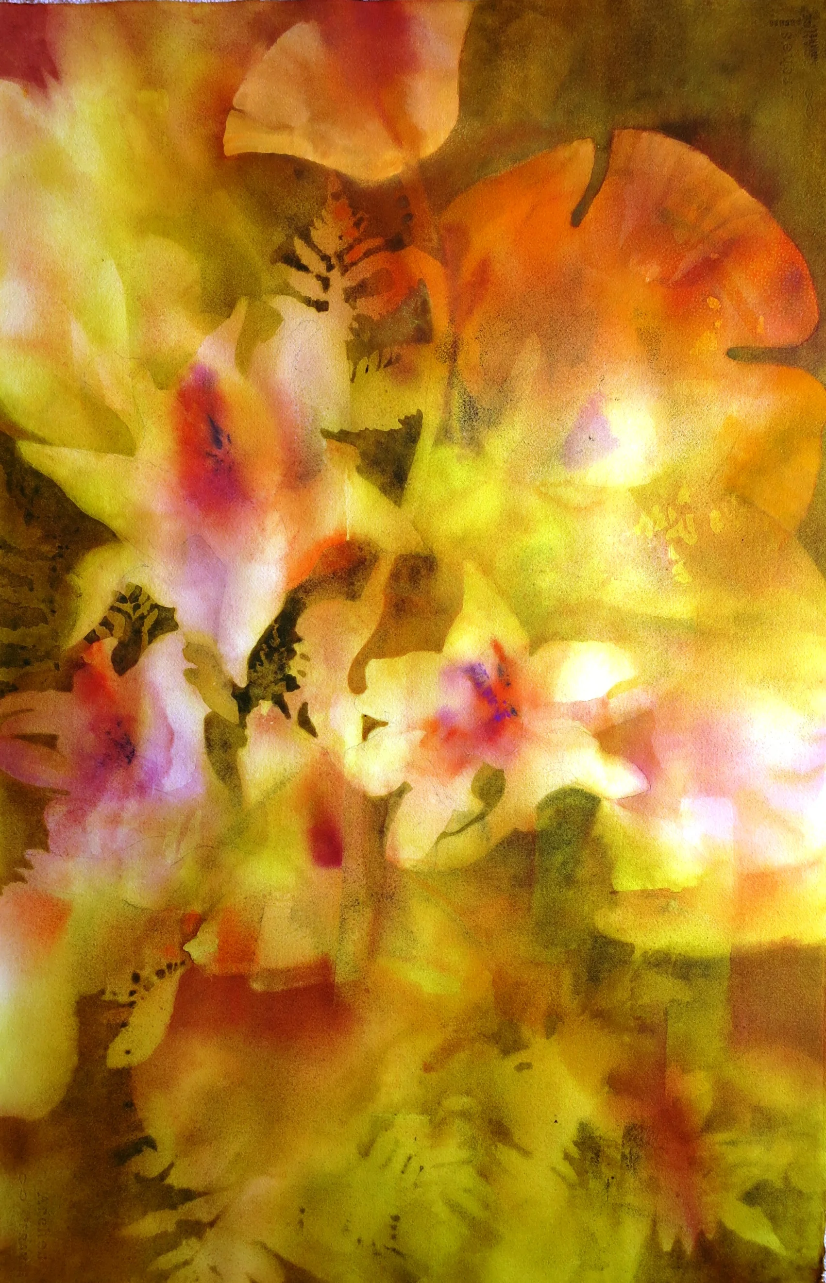 Shell Path of my Dreams