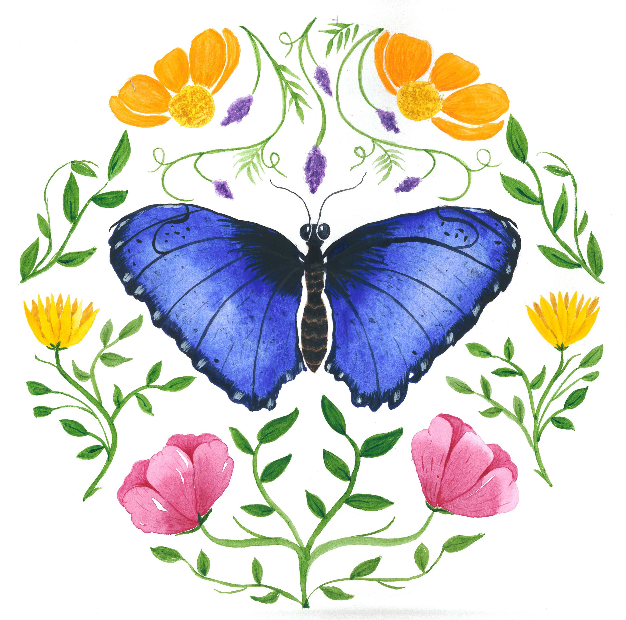 Blue watercolor butterfly.jpg