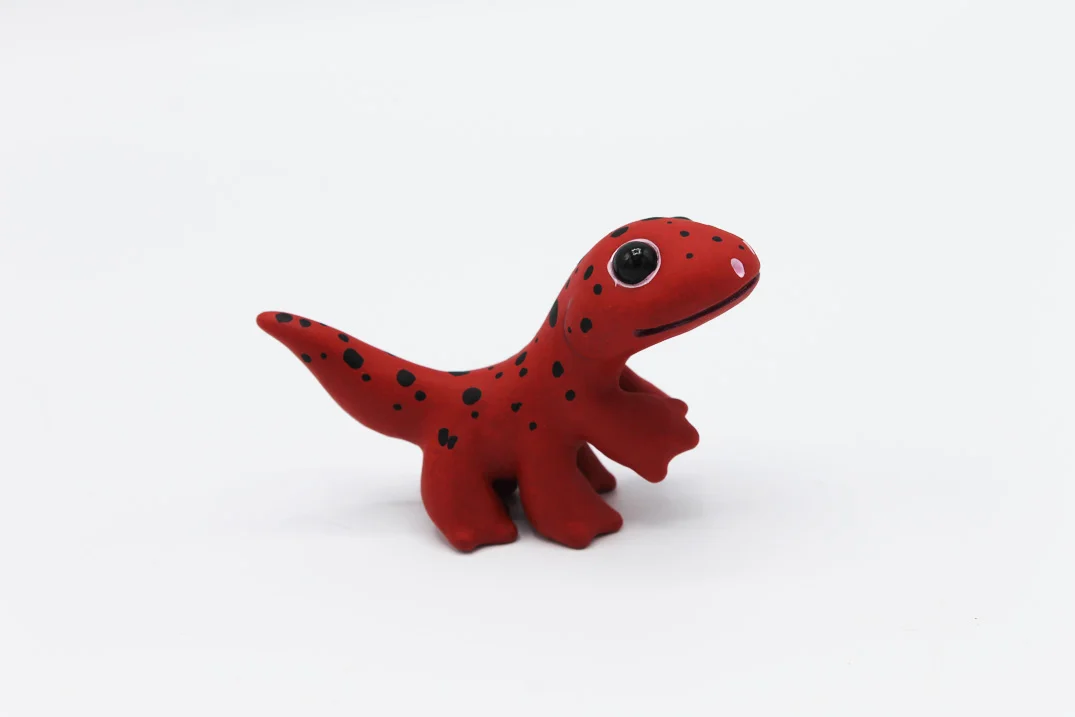 salamanders5.jpg