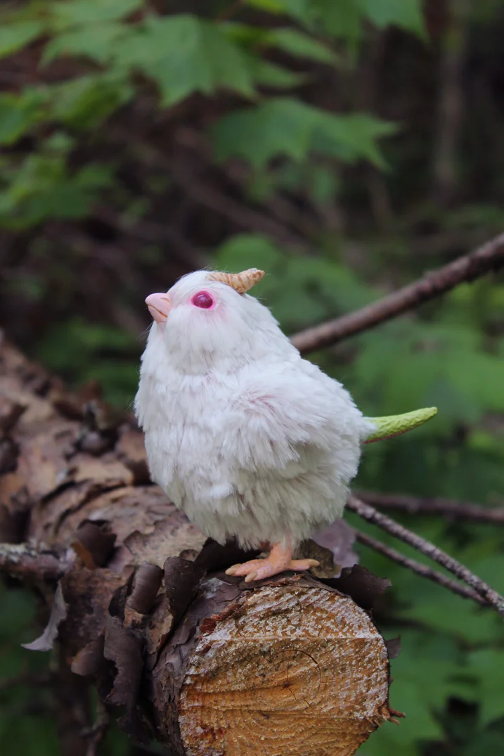 pinkchick1.jpg