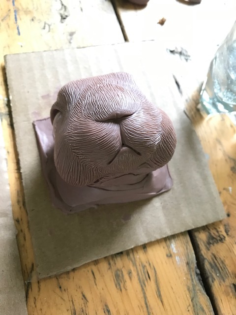 Nose and Mouth detail