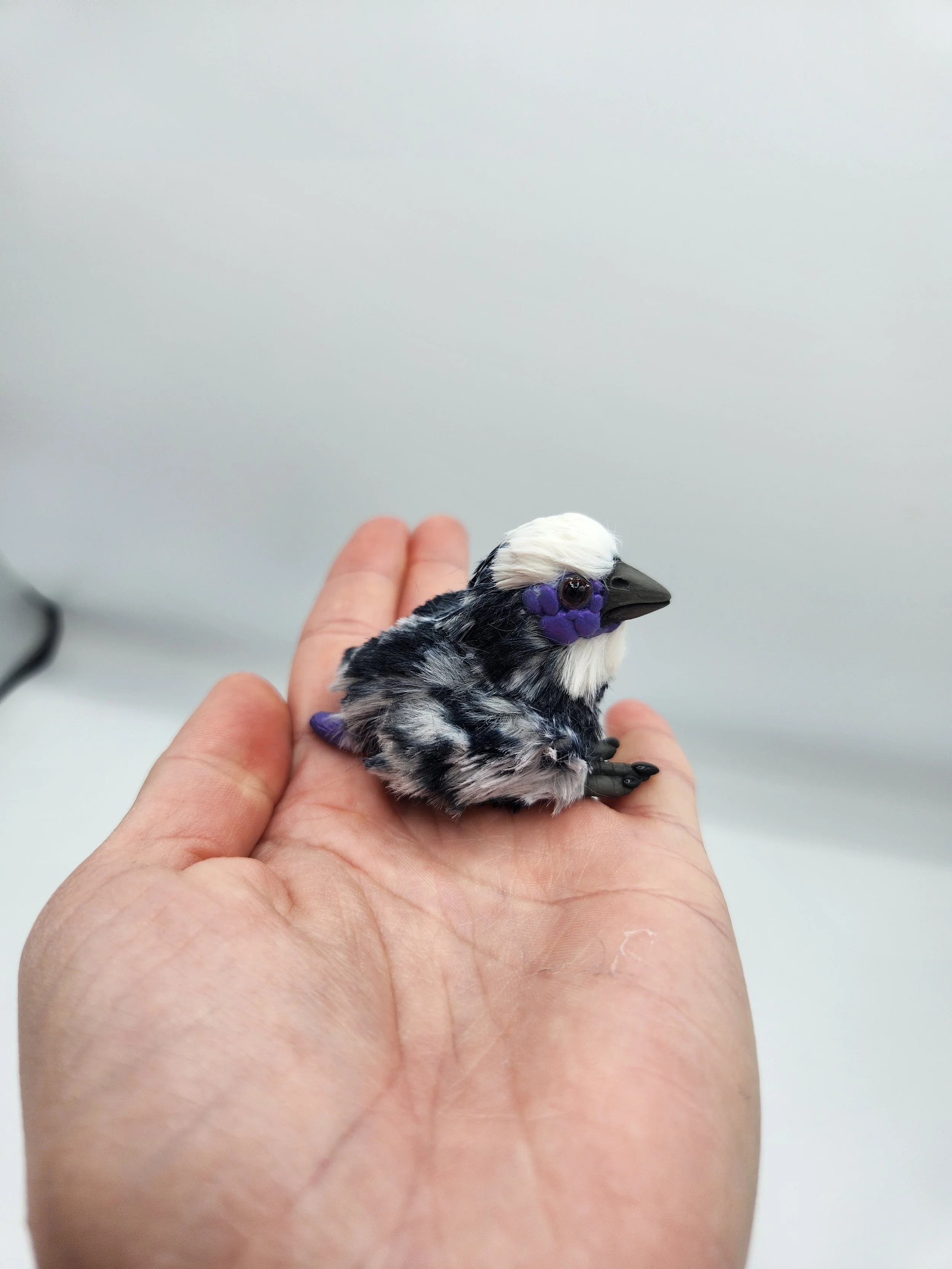 processed_a287e871fc754fa69150a4717ed90b20.jpeg