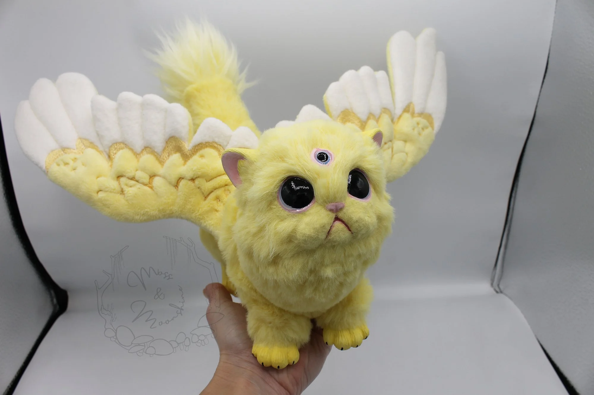 Saffron the Gryphon Kitten