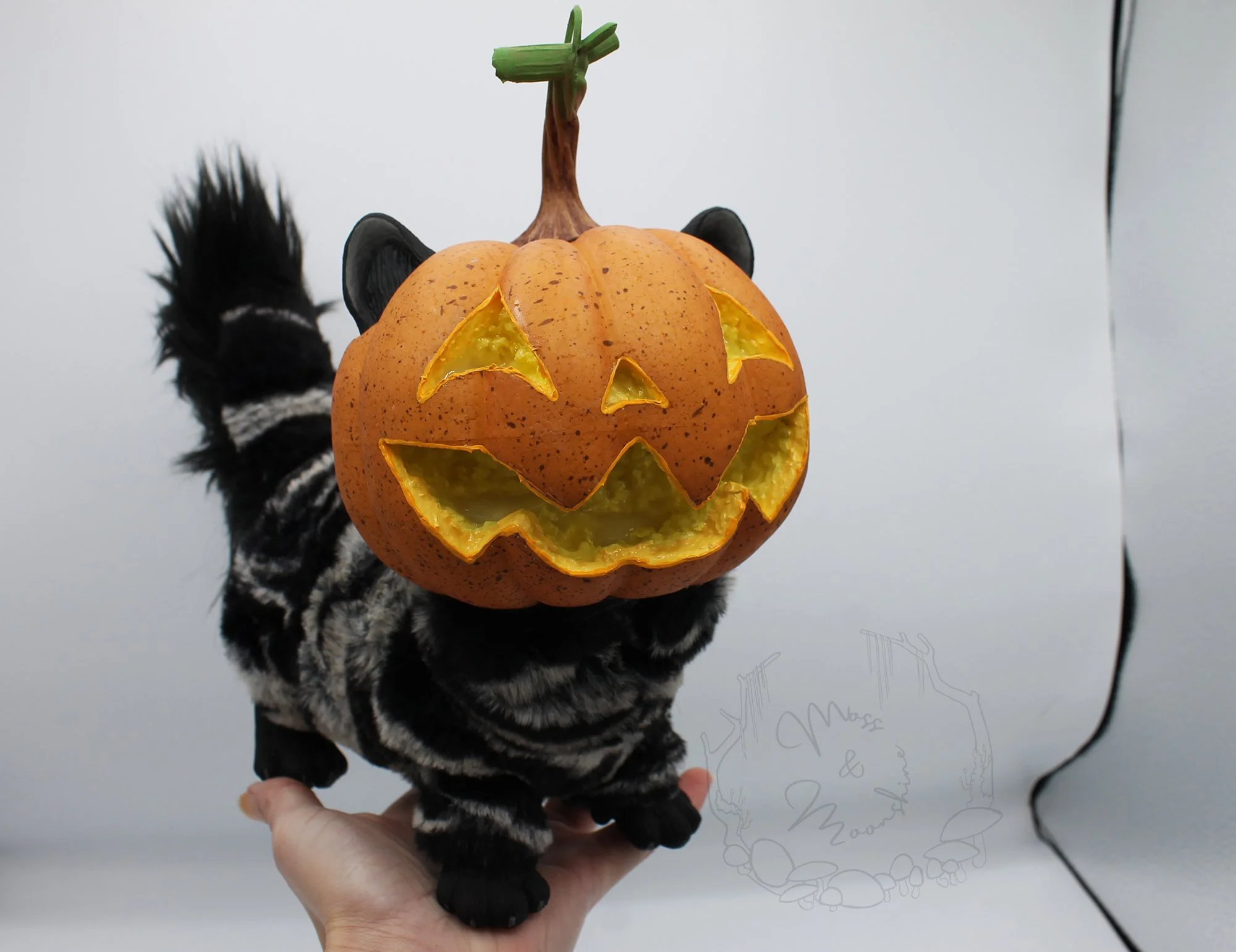 Vessel the Pumpkinhead Kitten