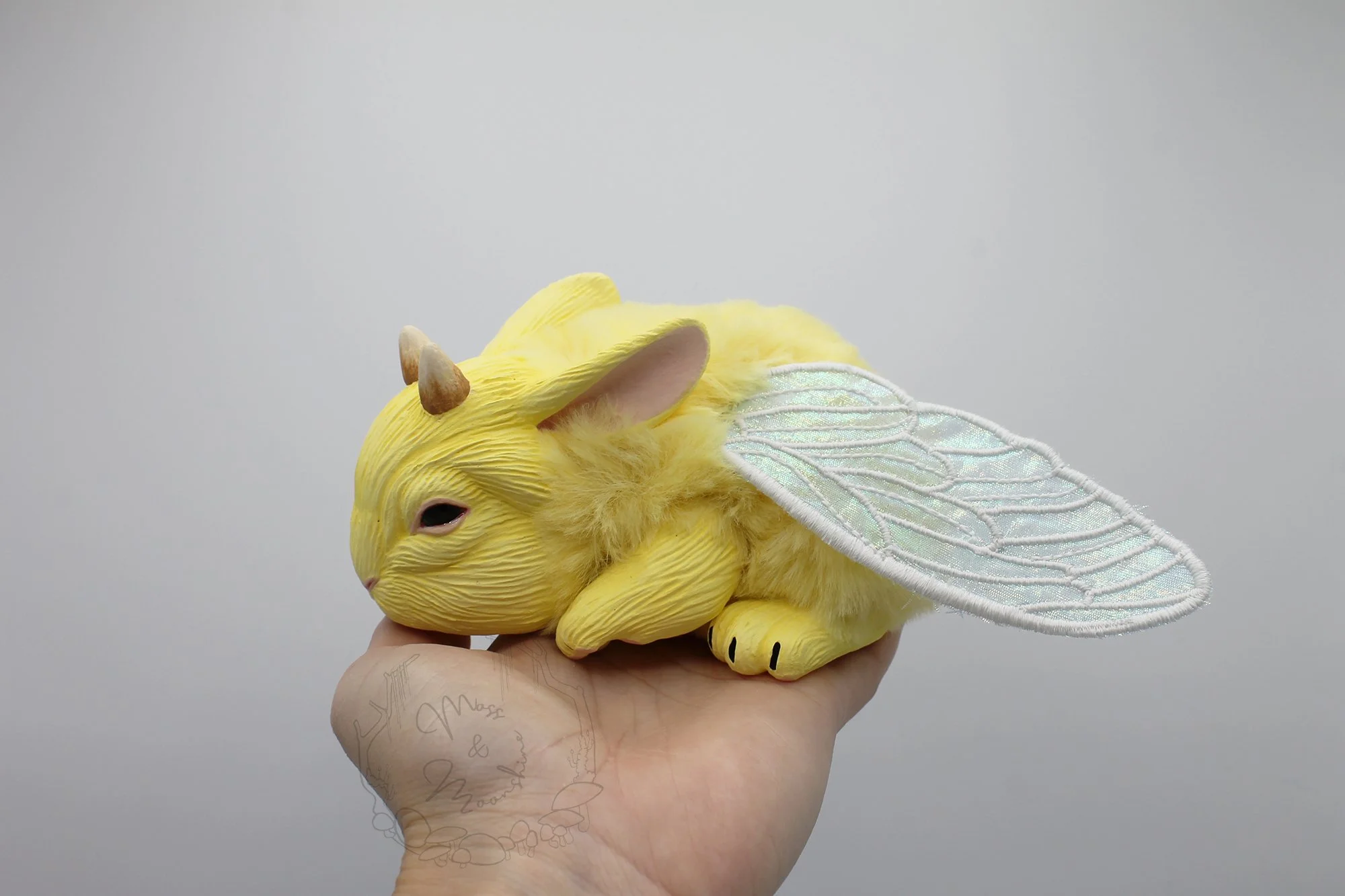 FBButtercup1.jpg