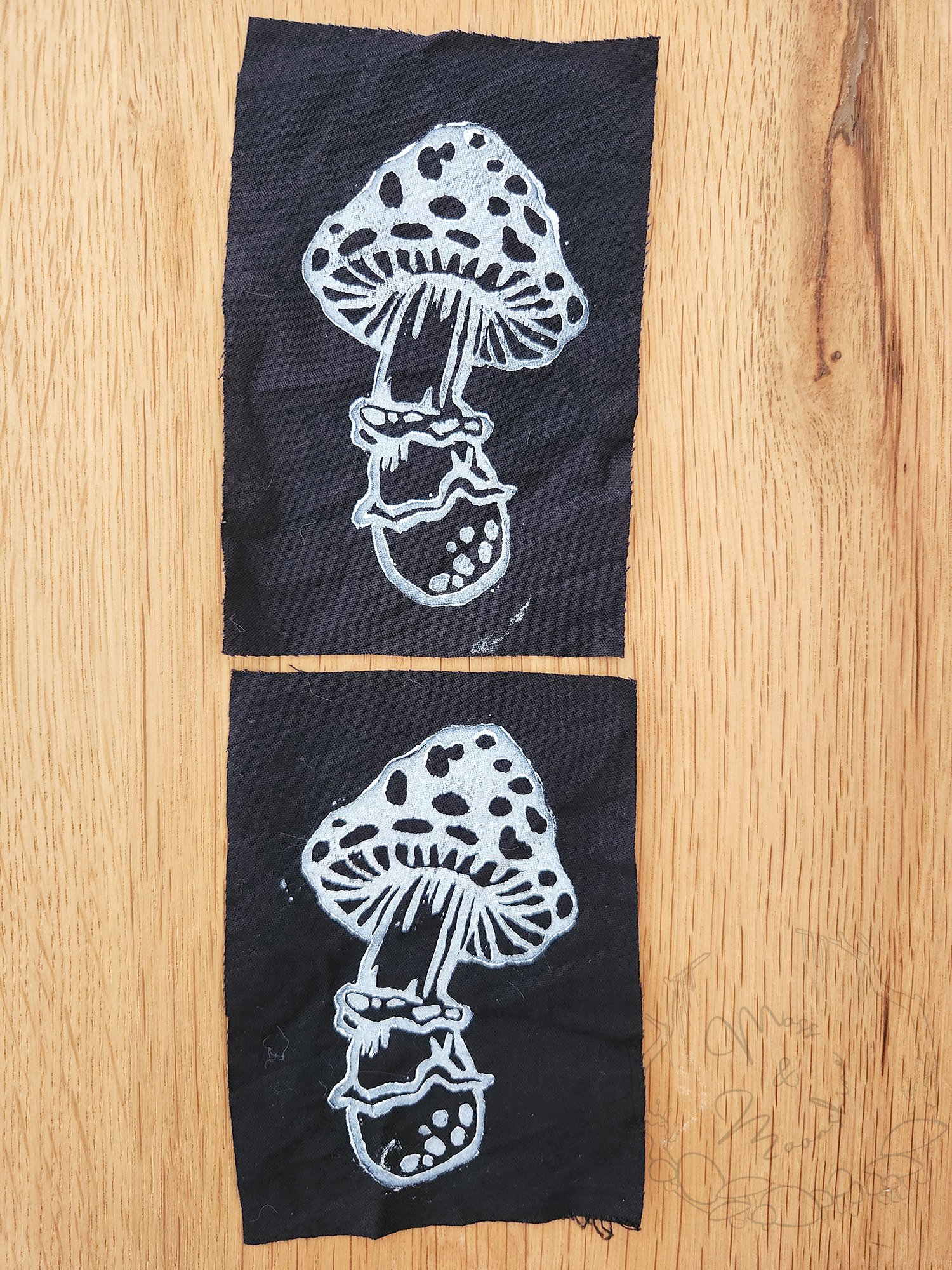 mushroompatch2.jpg