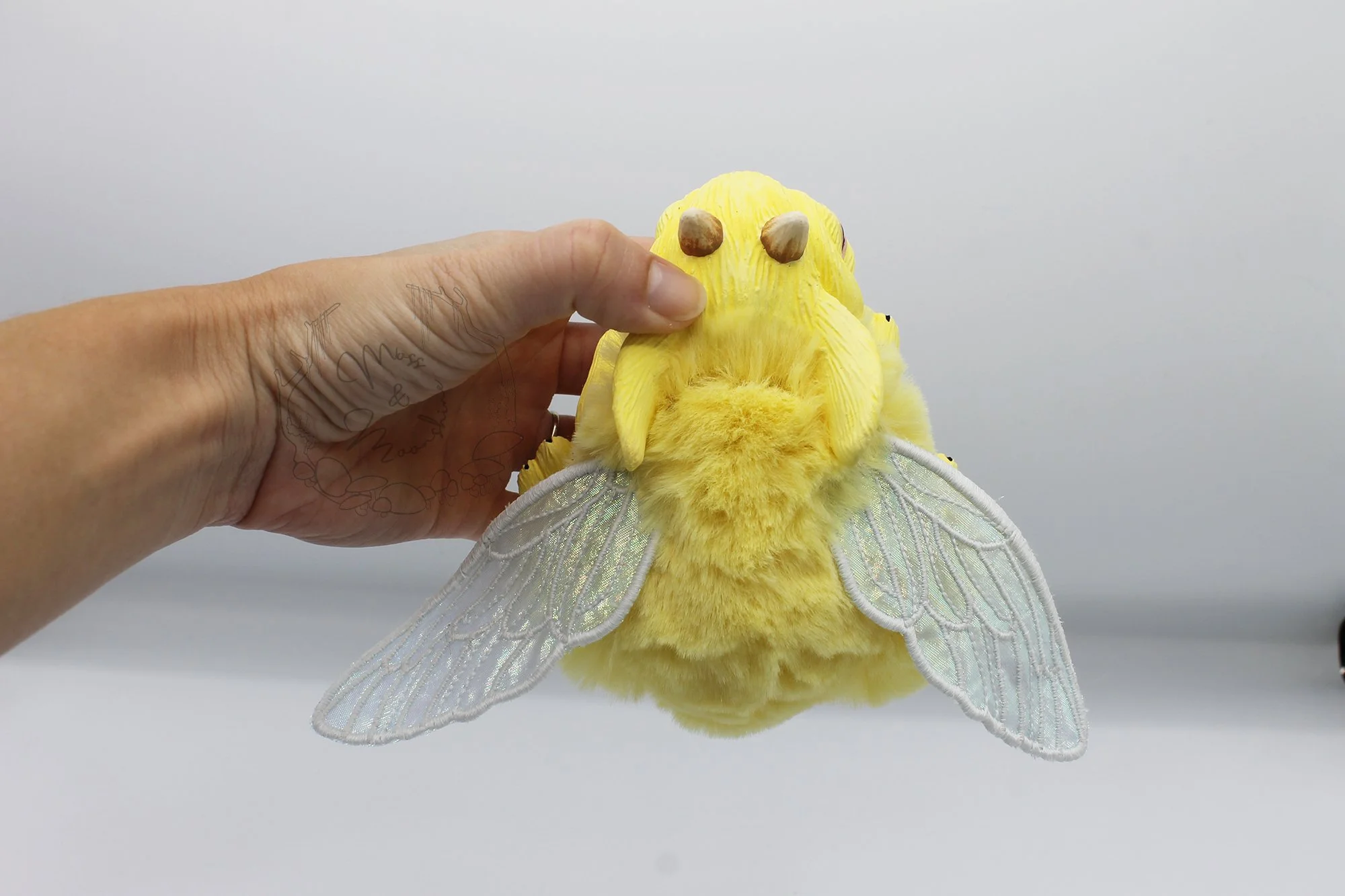 FBButtercup3.jpg