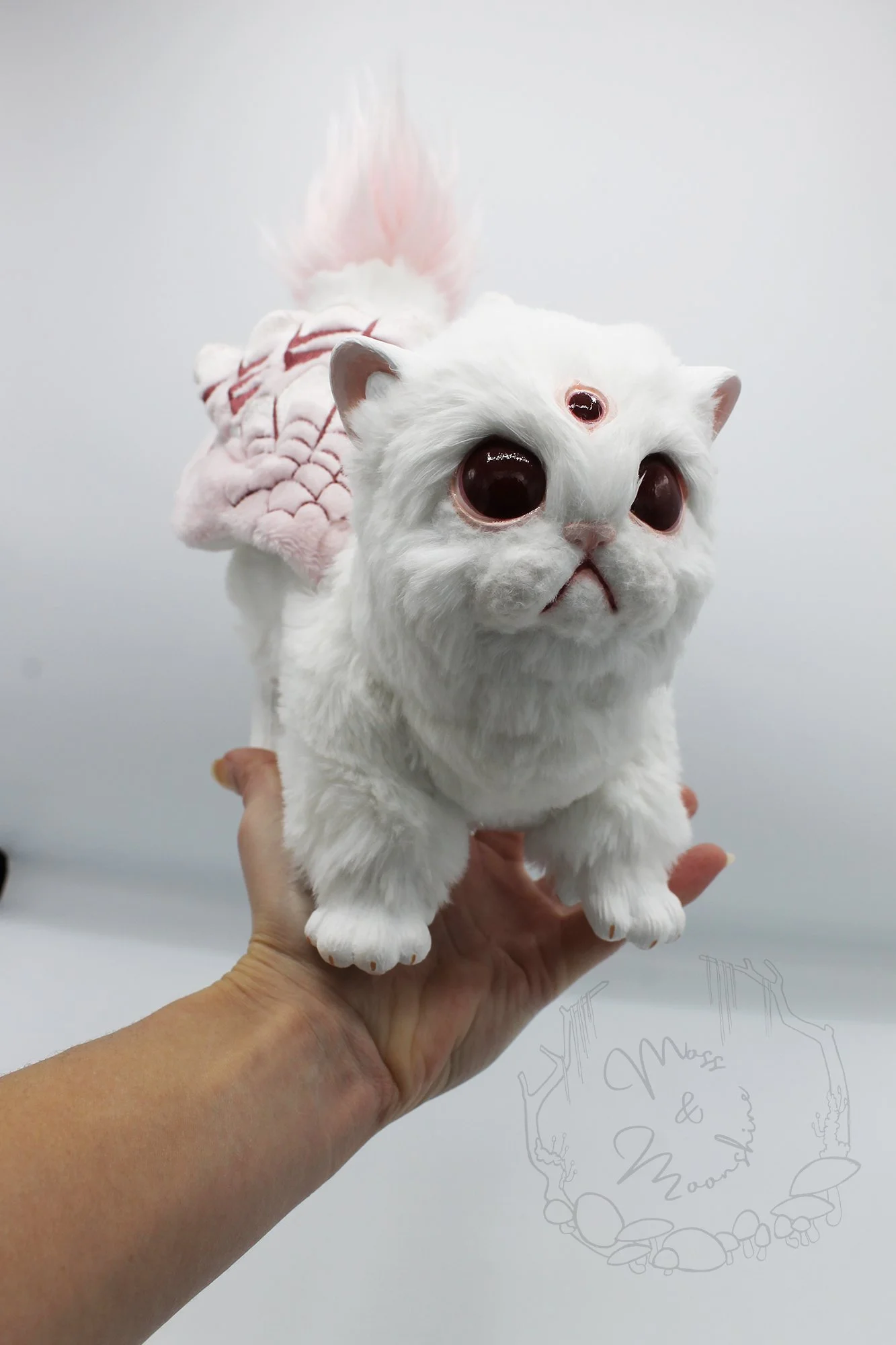 Cranberry the Gryphon Kitten