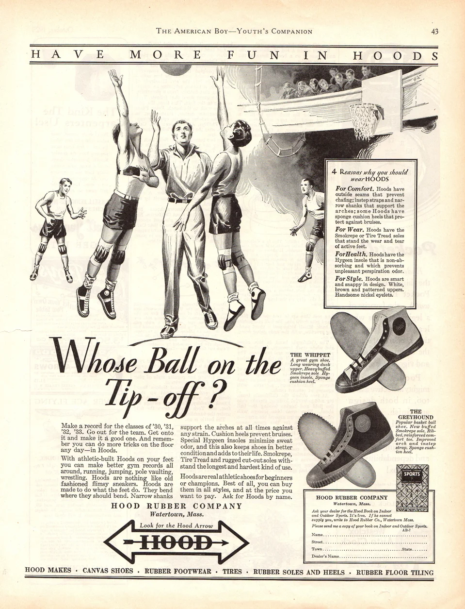 1929 Greyhound and Whippet.jpg