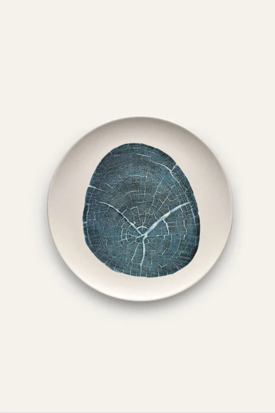 Plate-art_MASTER-Blue.jpg