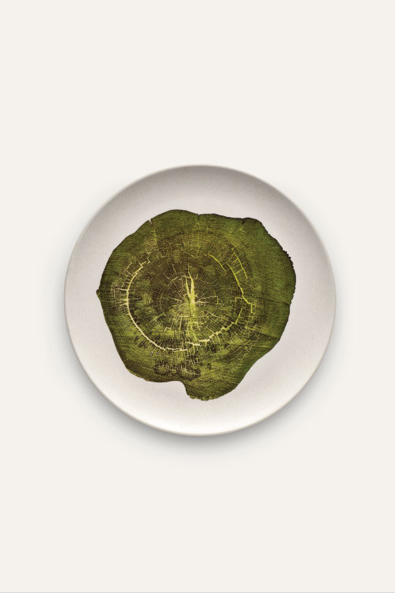 Plate-art_MASTER-Green.jpg