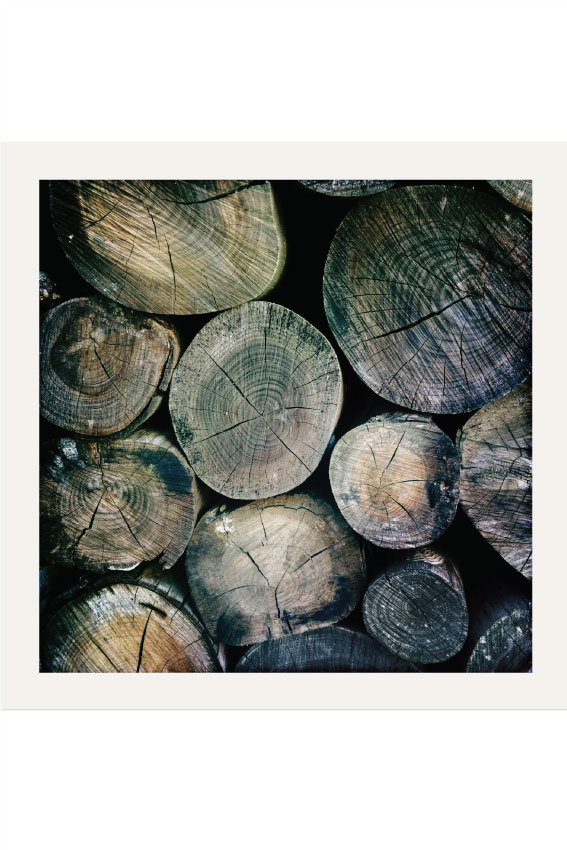 Logs-Photography-Square.jpg