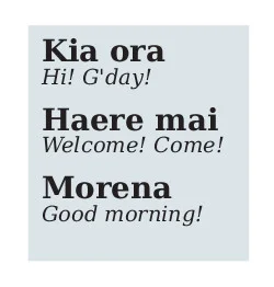 Why we should all work towards saving Te Reo Māori in New Zealand