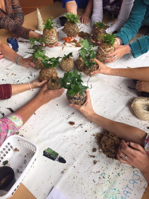 Festival: After this year's success, Lyttleton Summerfest may become an annual tradition