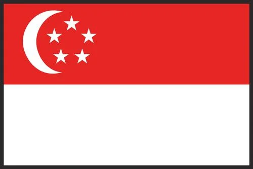 Sino-Singapore: Pragmatism at its best