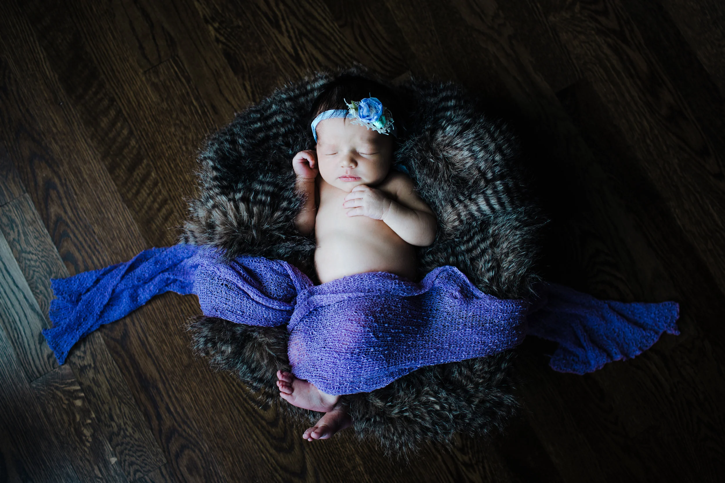 Lydia Frances' Newborn