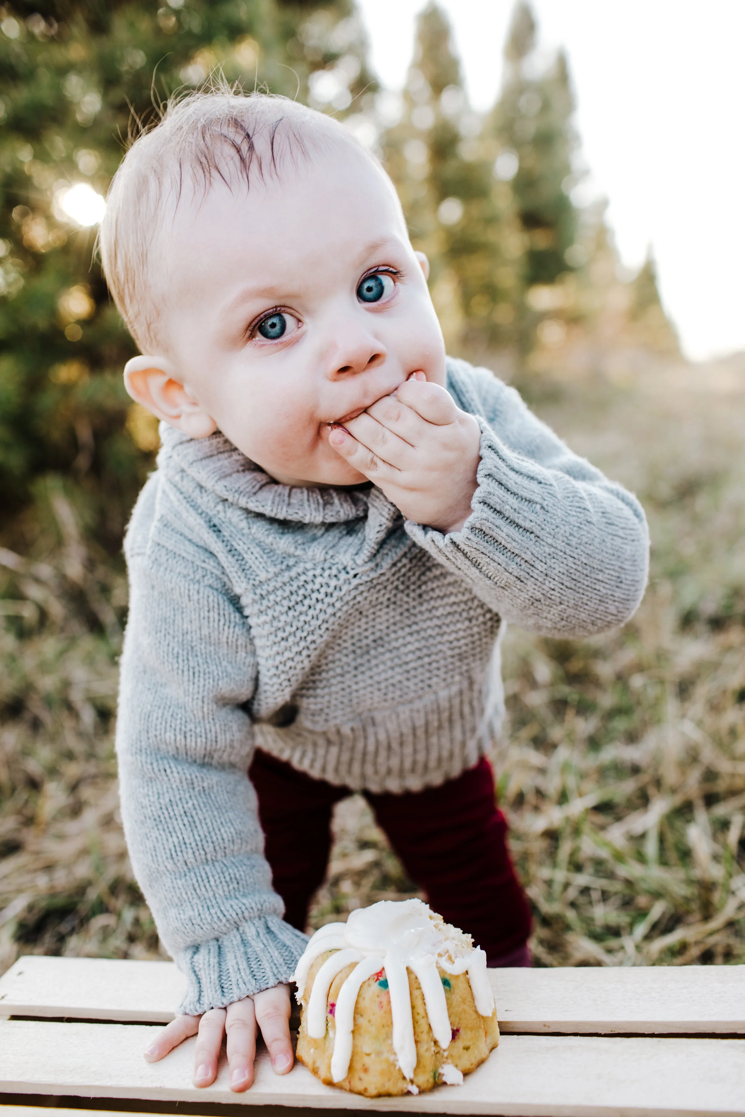 Reese's One Year Old Photos (119 of 154).jpg
