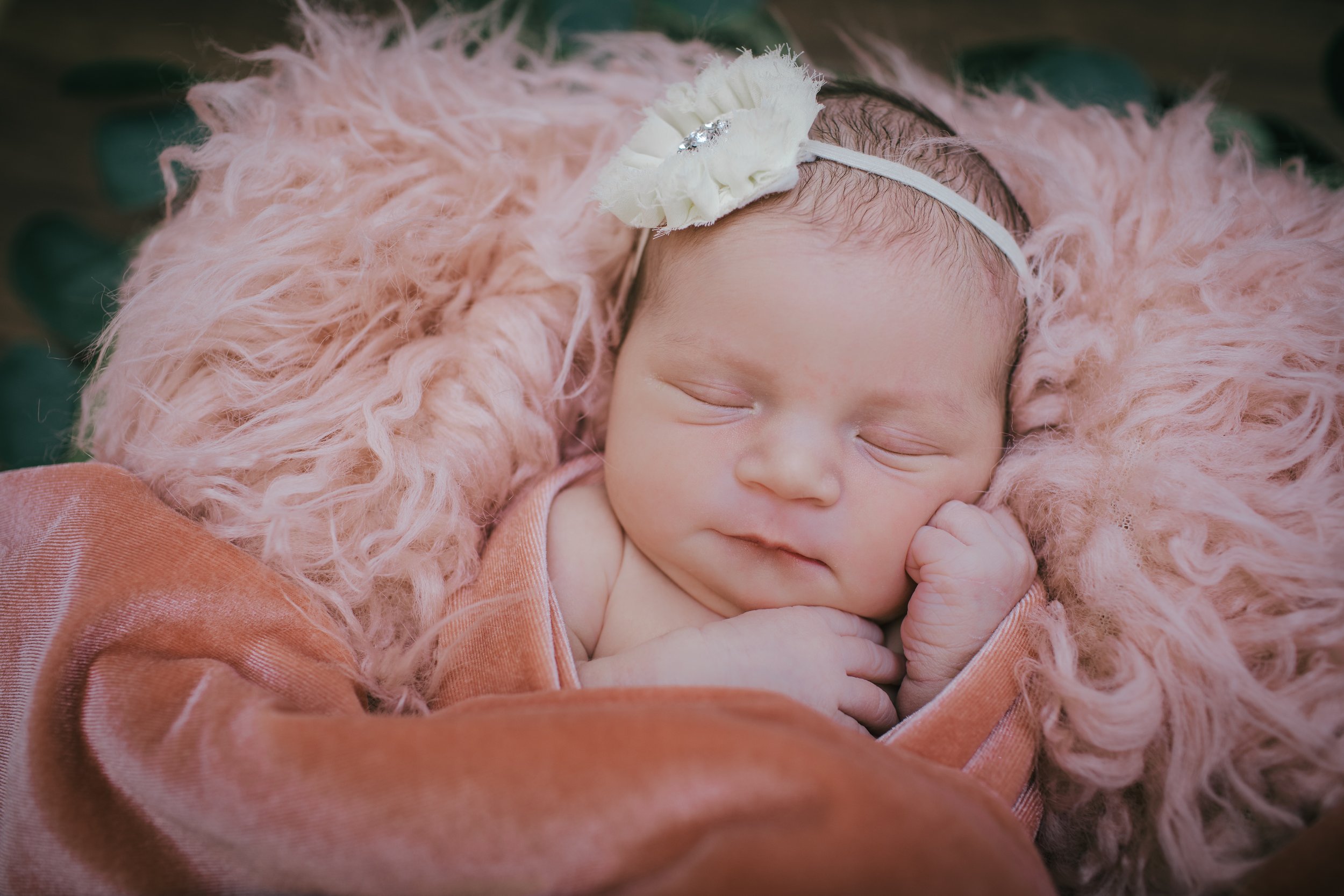 Maeve's Newborn Photos_-103.jpg