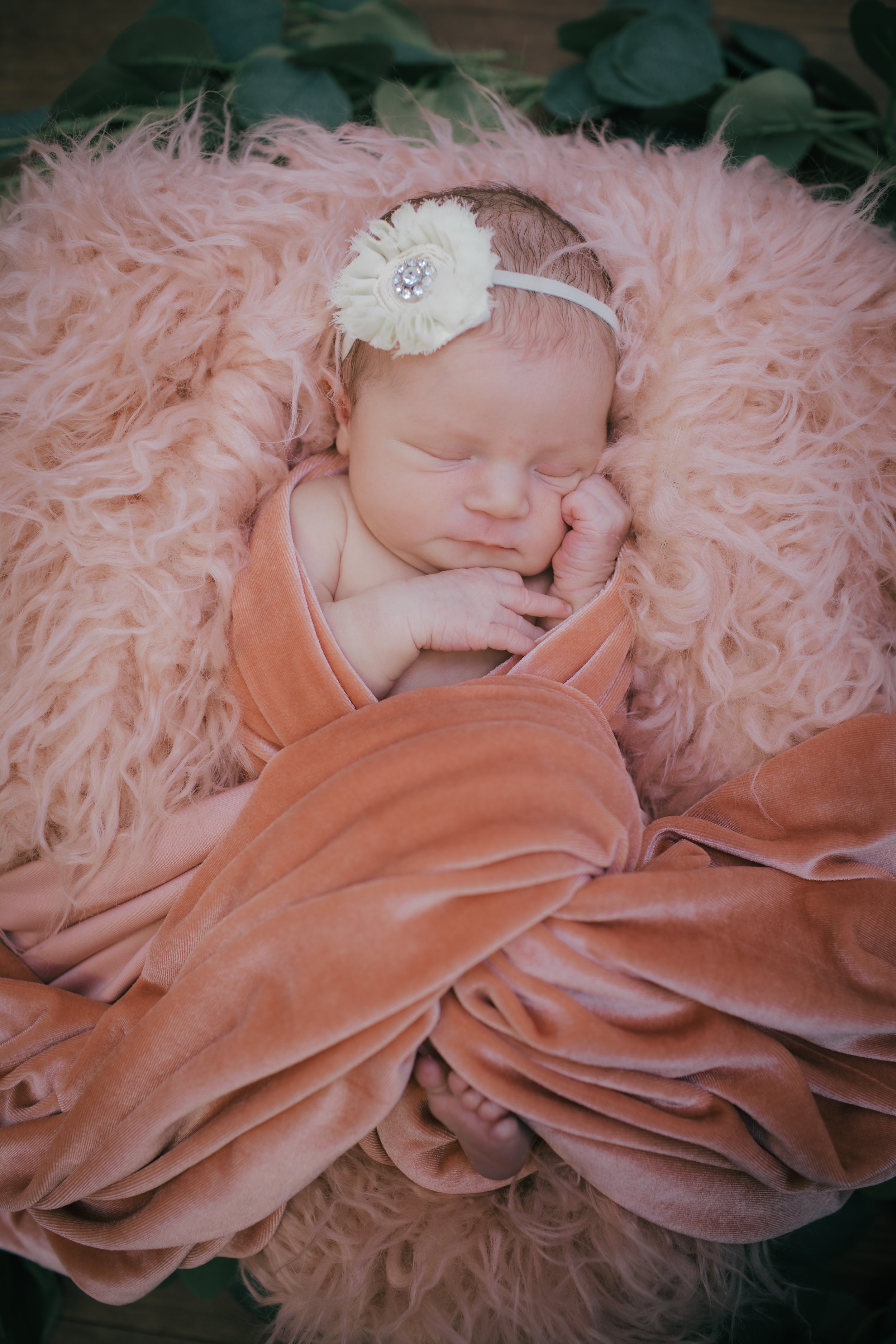 Maeve's Newborn Photos_-100.jpg