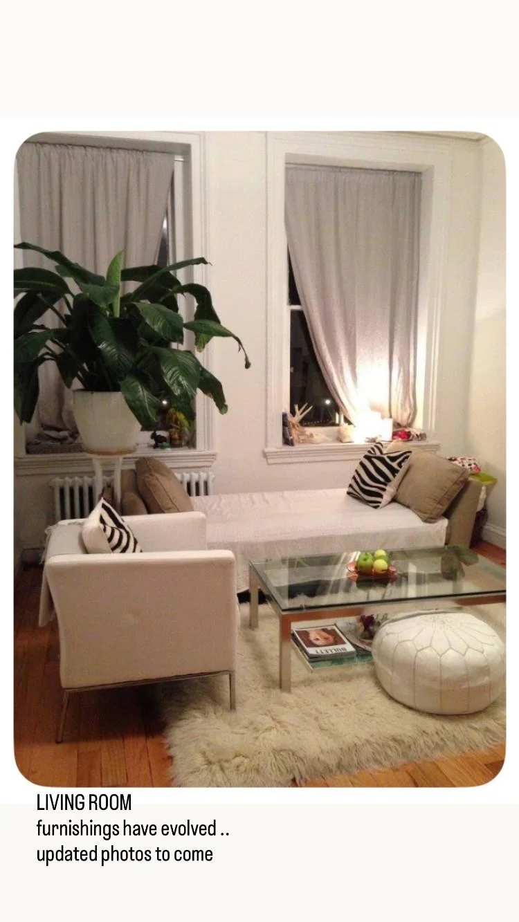 Living Room with Chaise sleeper.jpg