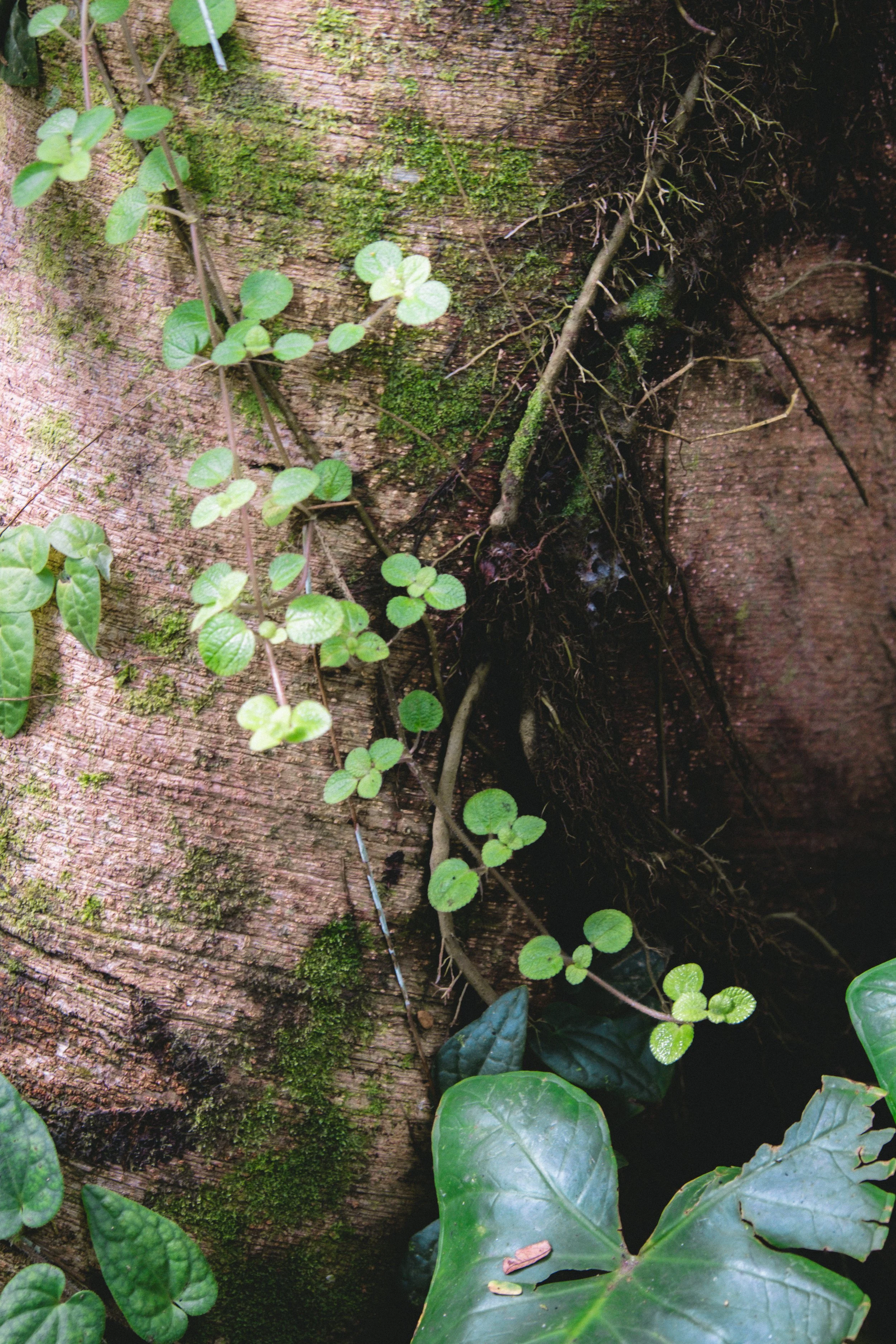 bali lower res-20.jpg