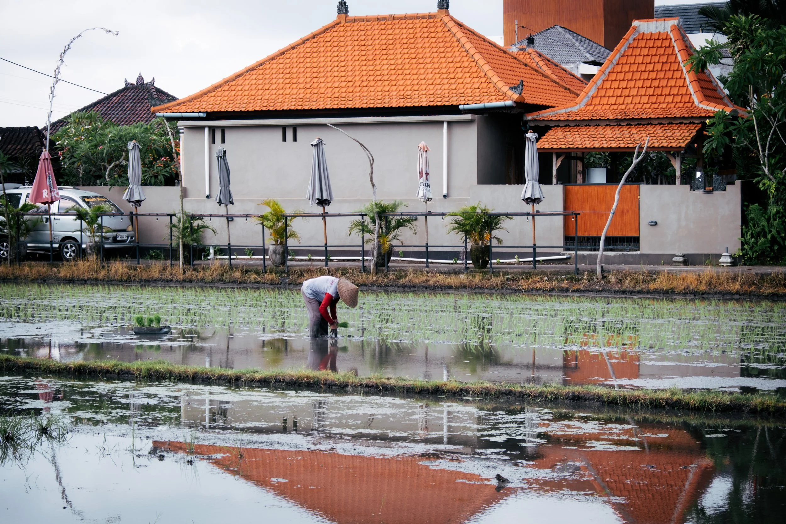 bali lower res-14.jpg