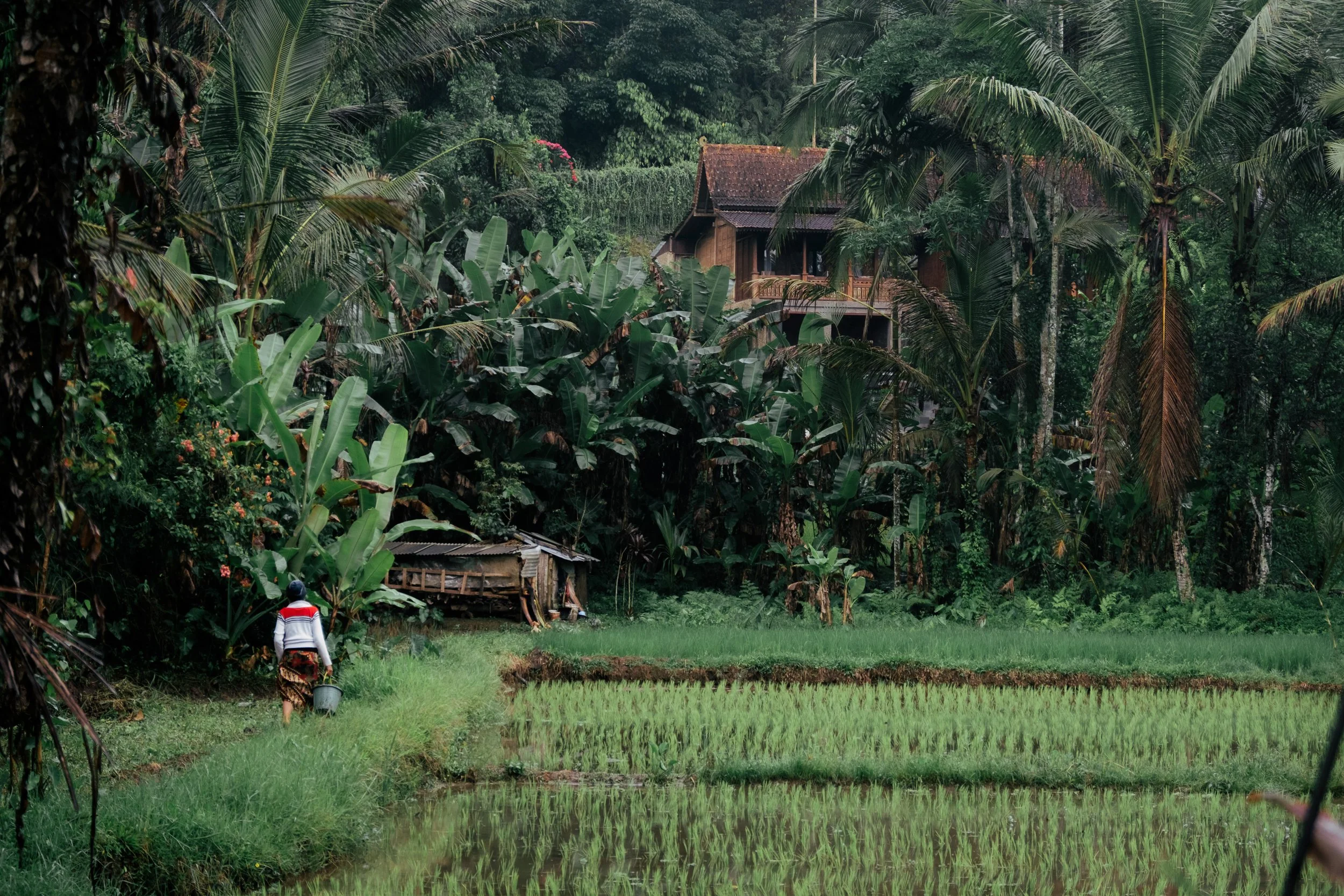 bali lower res-30.jpg