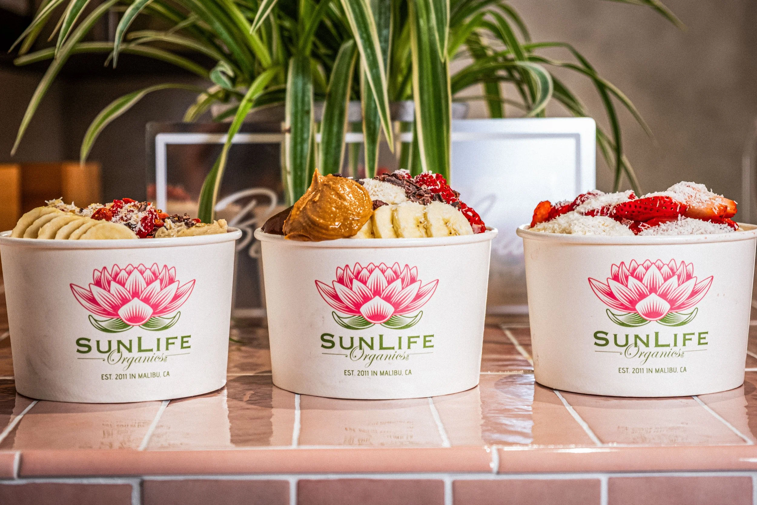 Bloomingdale’s x SunLife Organics