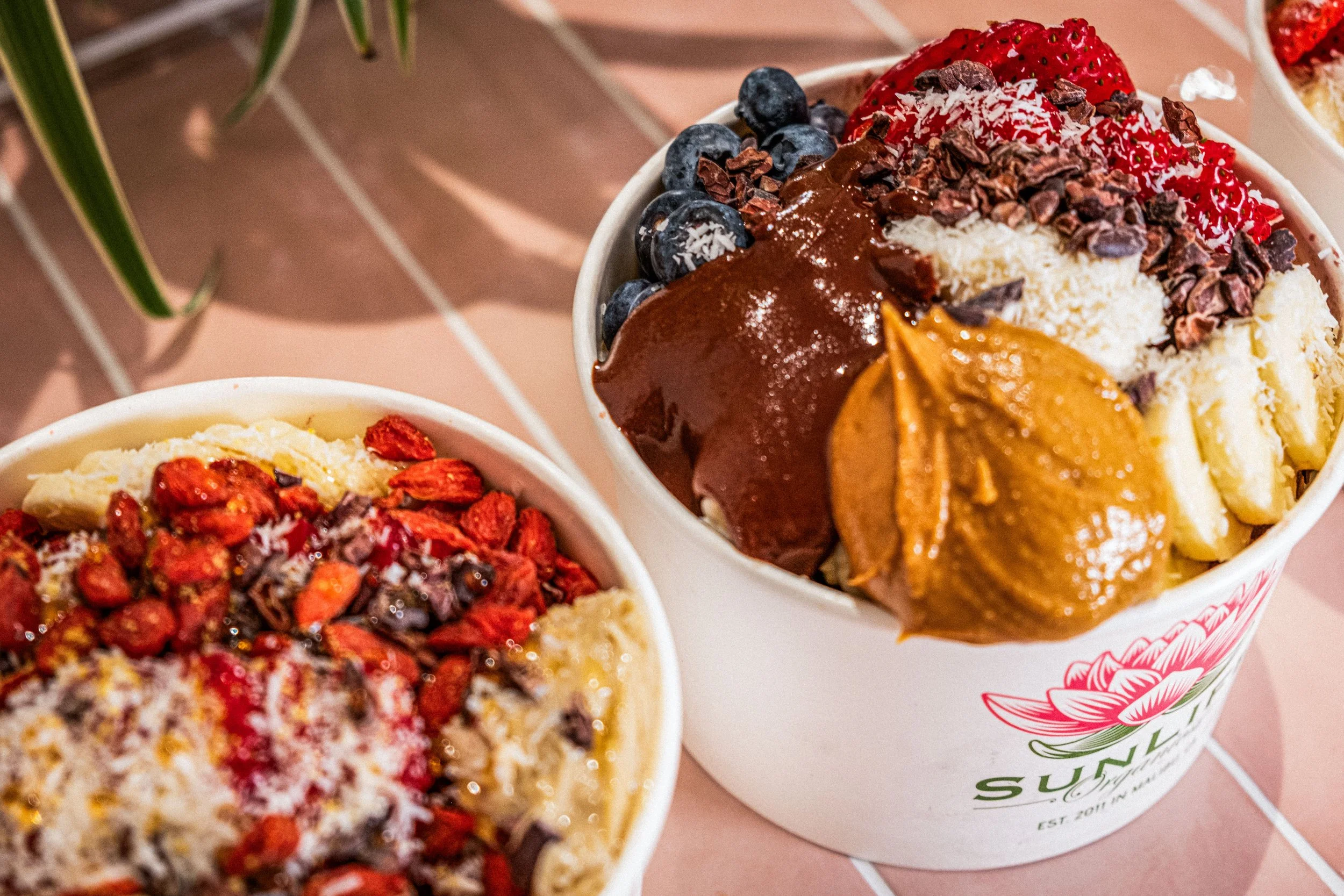 Bloomingdale’s x SunLife Organics