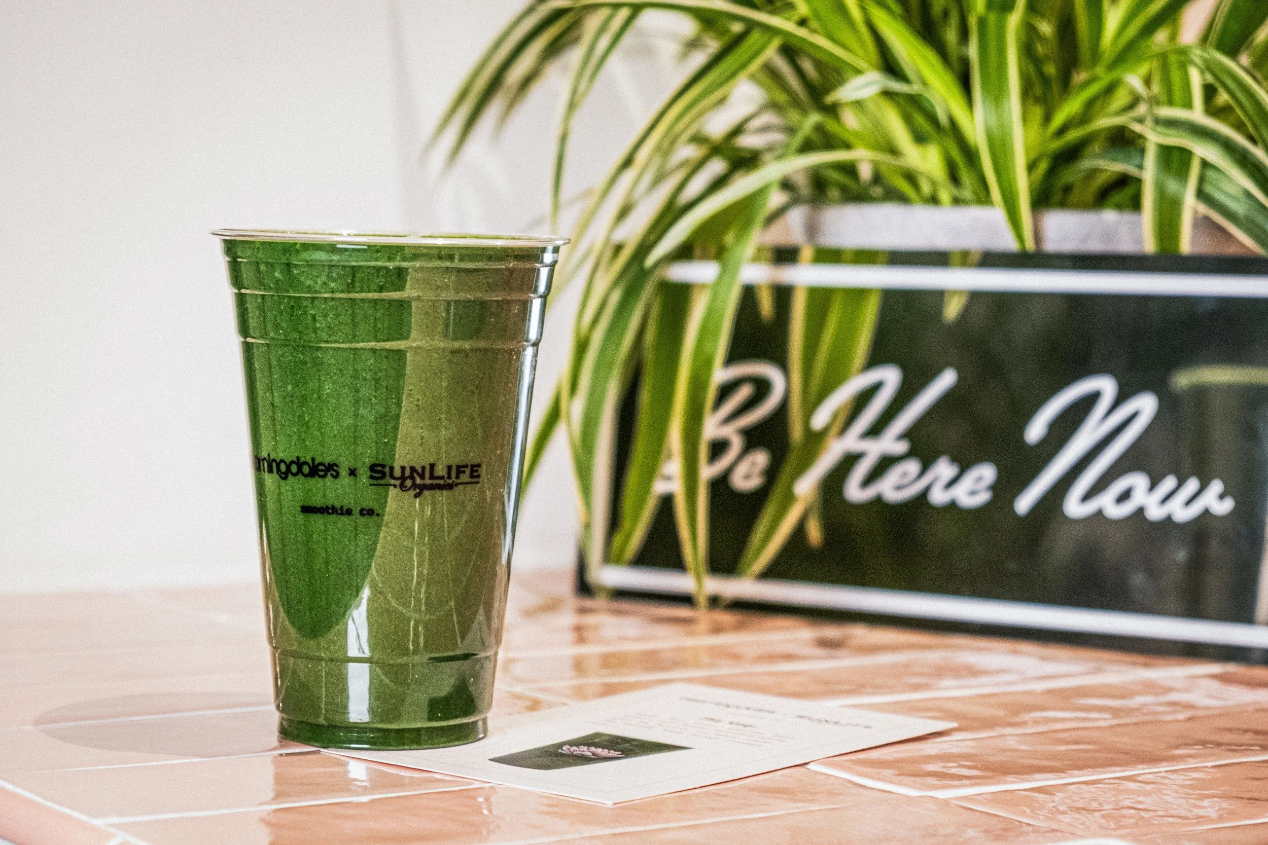 Bloomingdale’s x SunLife Organics