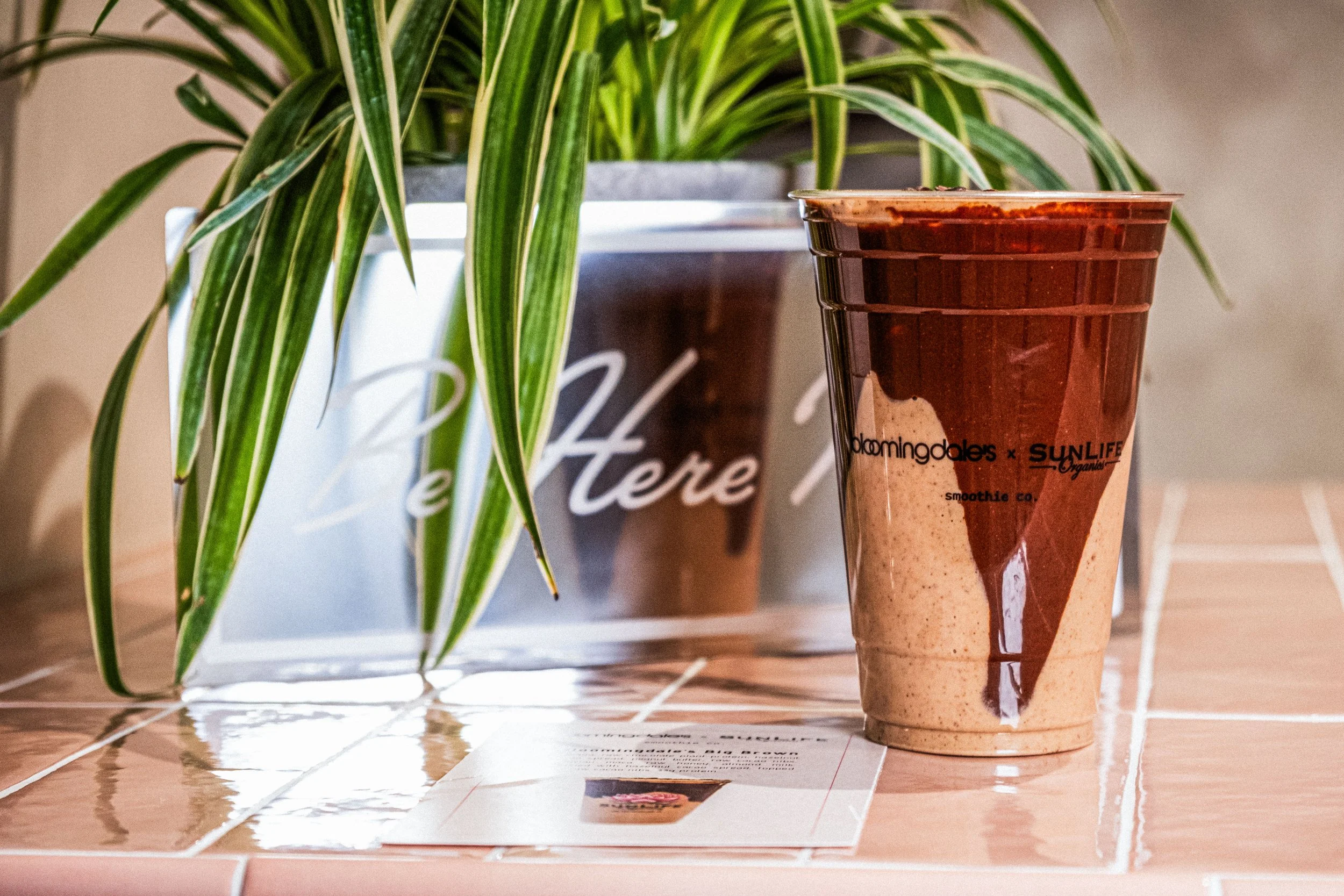 Bloomingdale’s x SunLife Organics