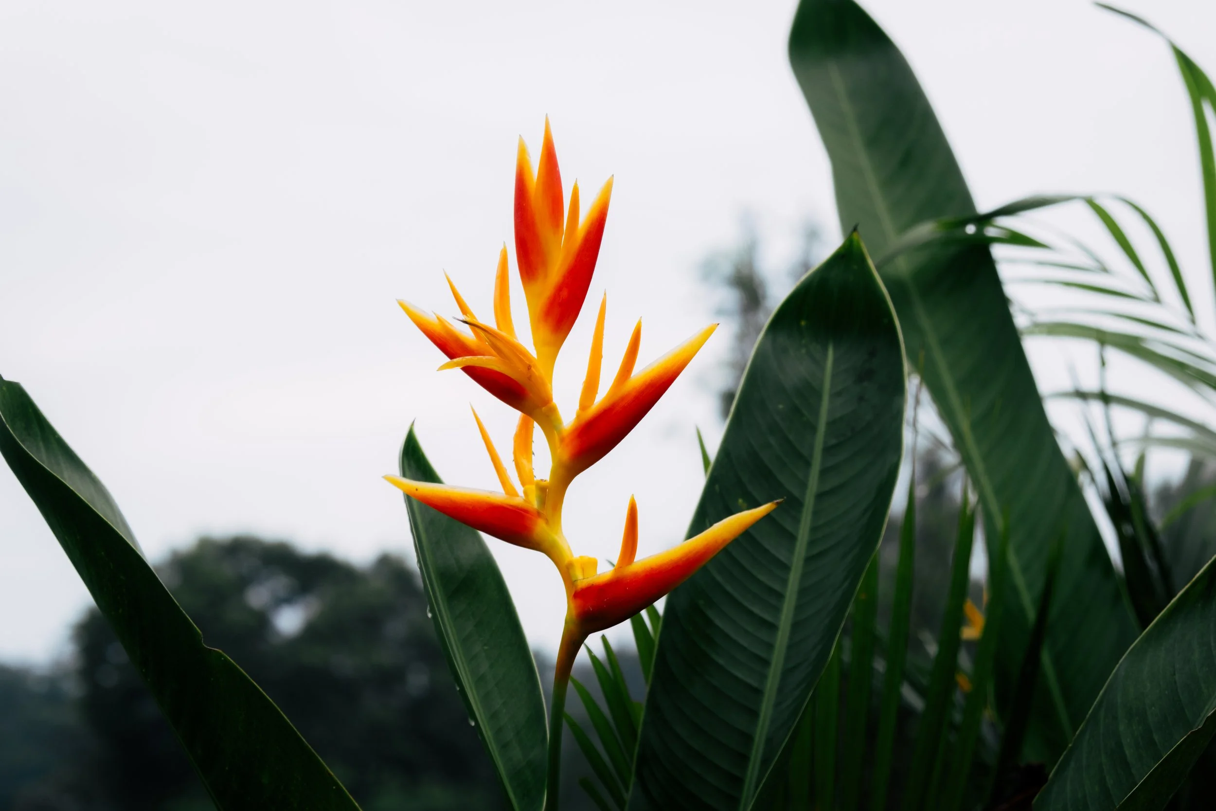 bali2025 hospitality-4.jpg