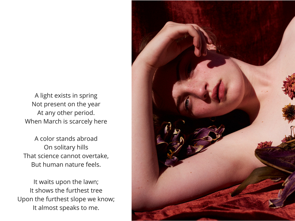 Julia Campbell-Gilles shot by Kristin Vicari