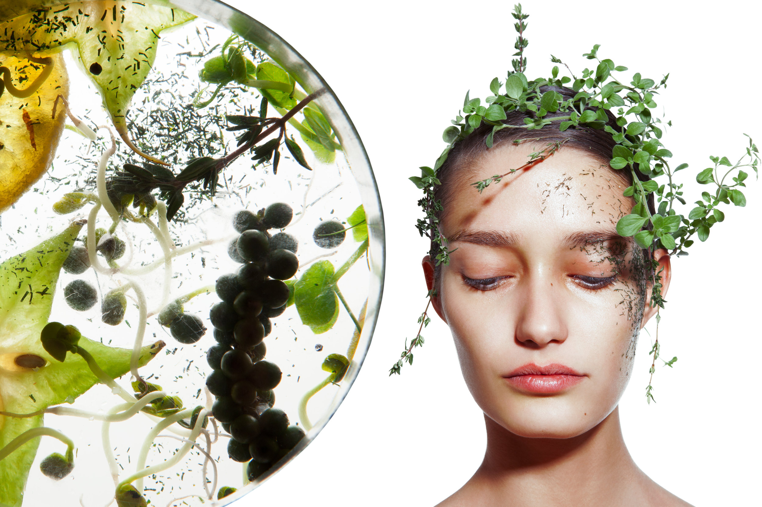 Marjoram, thyme and corn oil