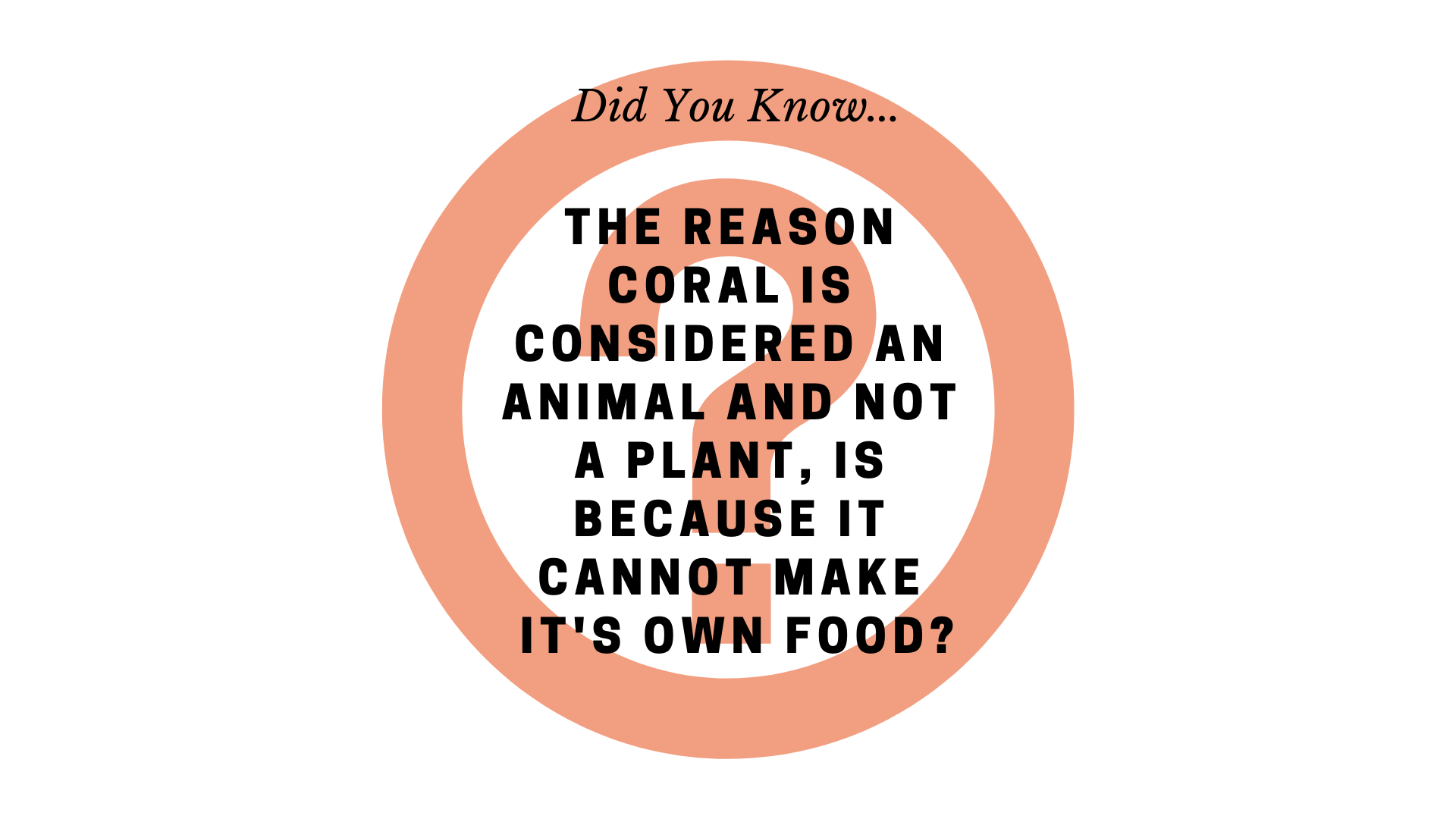 The reason coral is deemed an animal and not a plant, is because it cannot make it's own food_.png