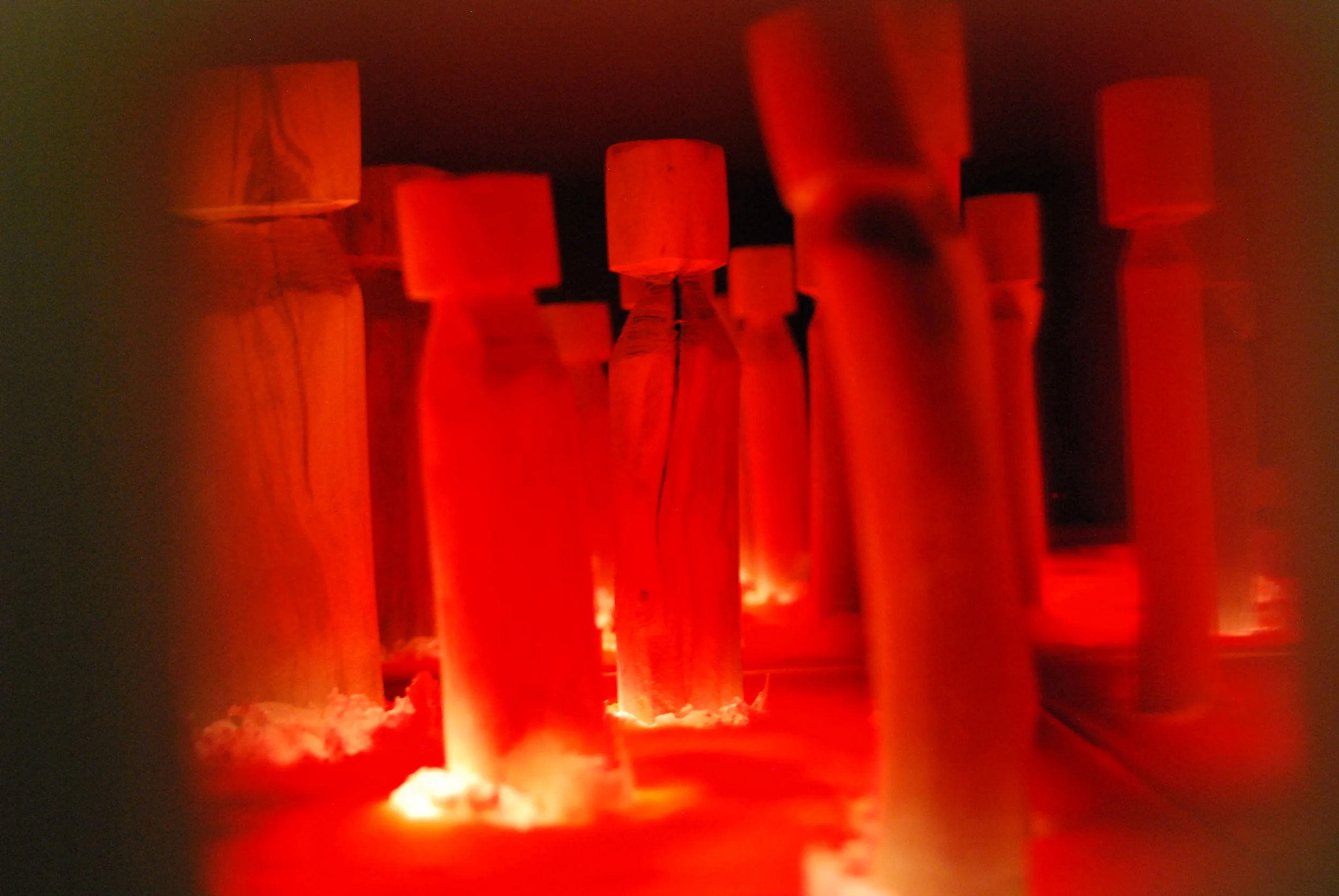 Te Uru Diorama_072.JPG